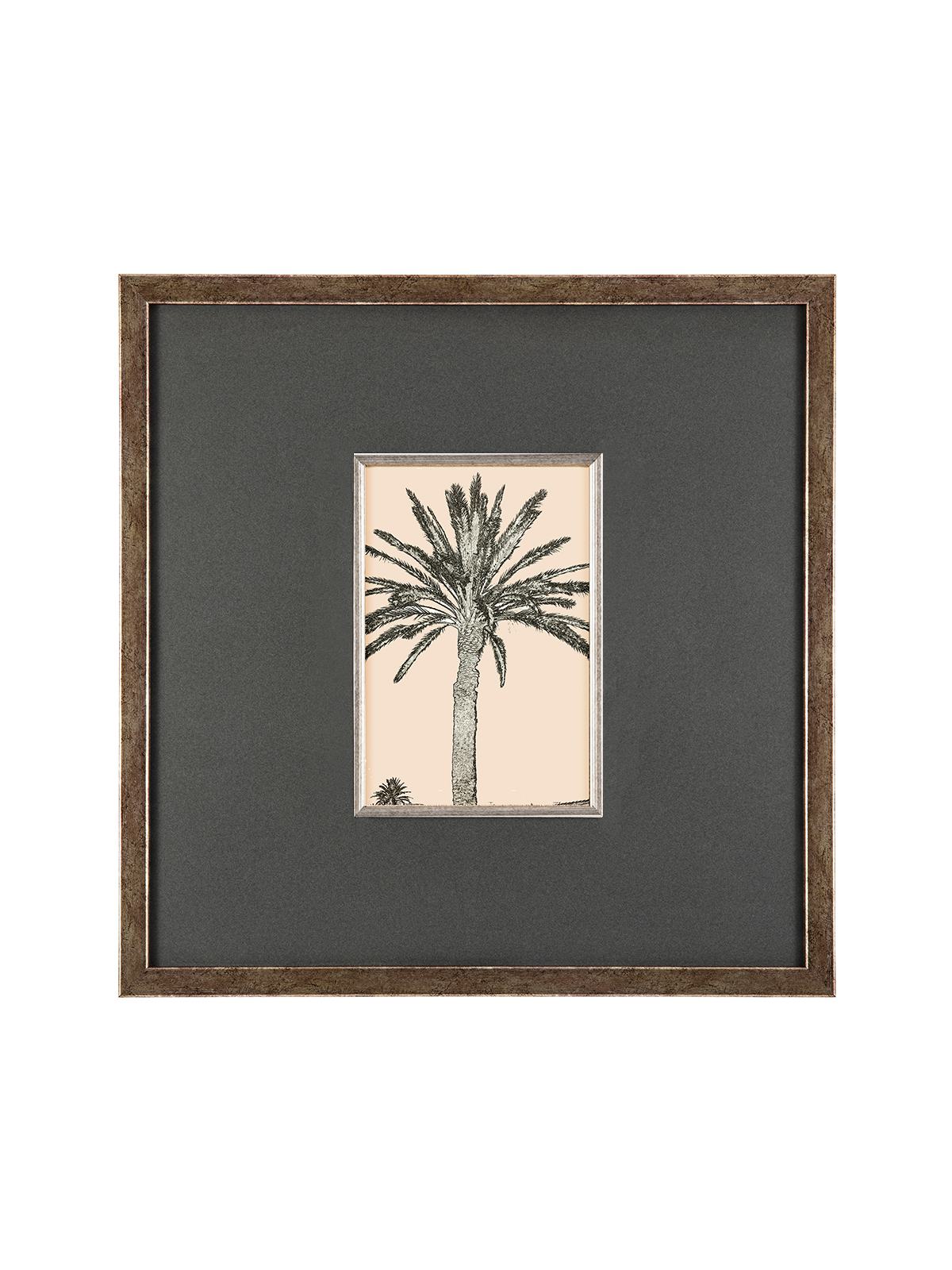 CAPRİ SKETCH PALMİYE FÜME