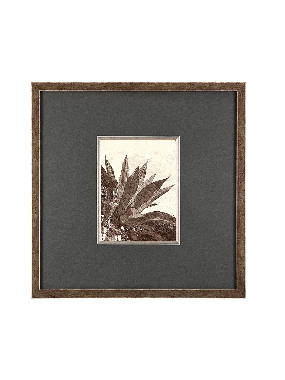 CAPRİ SKETCH KAKTÜS FÜME